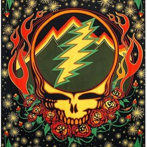 Grateful Dead 60" X 90" 3D Steal Your Face, Scarlet Fire Tapestry